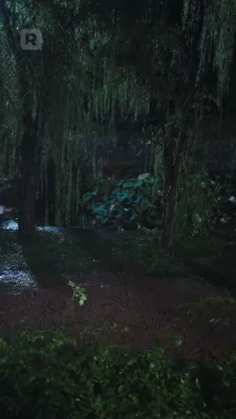 อย่าหนีสิ ที่รักของฉัน