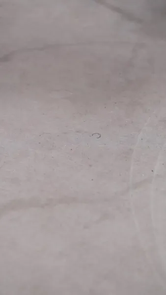 ตามง้อหัวใจเธอ