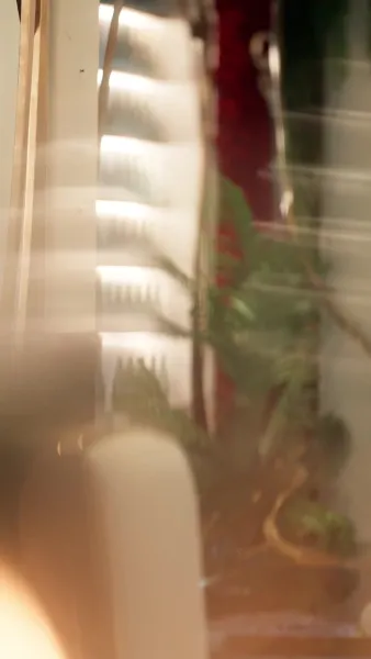 โรแมนซ์วัยลุง