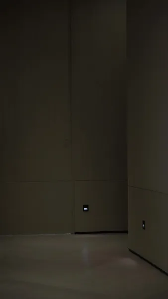 โรแมนซ์วัยลุง