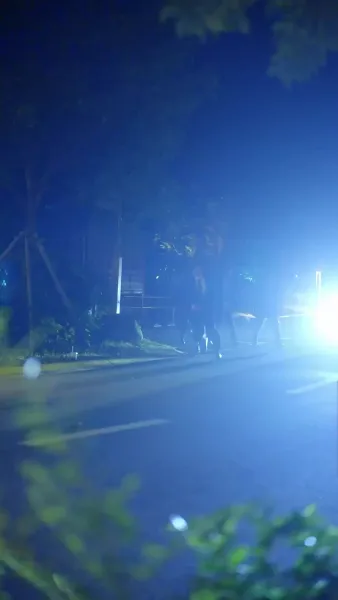 เผลอเก็บได้สามีตัวท็อป