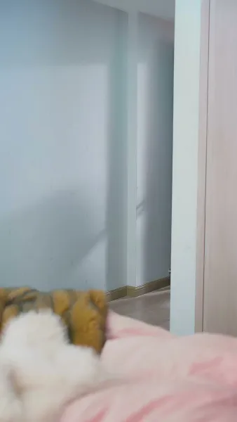 ลาก่อน ความผิดพลาด