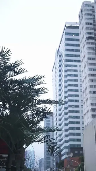 [พากย์ไทย]รักใคร่เสน่หา:มิสเตอร์ฟู่เป็นที่รักถึงแก่นแท้