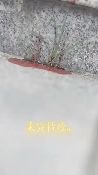 [พากย์ไทย]รักใคร่เสน่หา:มิสเตอร์ฟู่เป็นที่รักถึงแก่นแท้