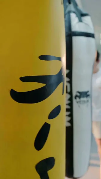 เจ้าสาวโรงงานพันธุ์พิเศษ