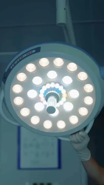 เจ้าสาวโรงงานพันธุ์พิเศษ