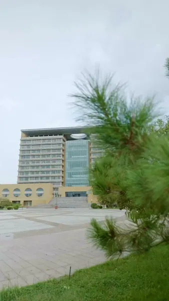 เจ้าสาวโรงงานพันธุ์พิเศษ