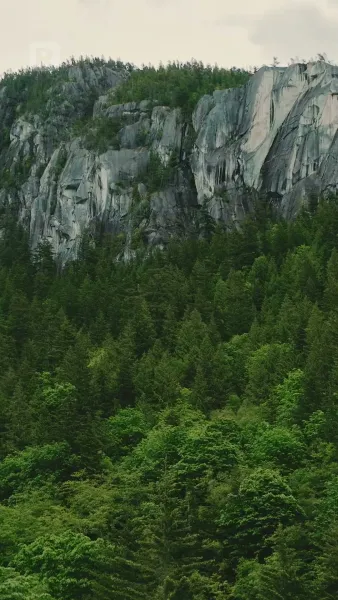 ที่รัก ได้โปรดกลับบ้านเถอะ