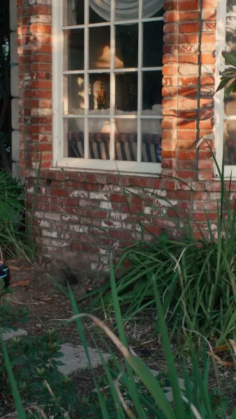 ที่รัก ได้โปรดกลับบ้านเถอะ