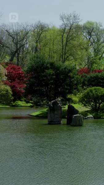 ที่รัก ได้โปรดกลับบ้านเถอะ