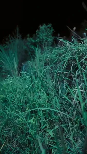 แจกันสื่อรัก ข้ามเวลาท้าลิขิต(พากย์ไทย)