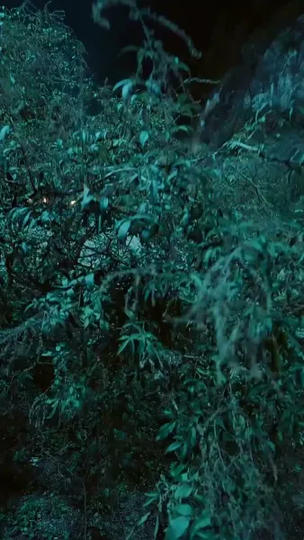 แจกันสื่อรัก ข้ามเวลาท้าลิขิต(พากย์ไทย)