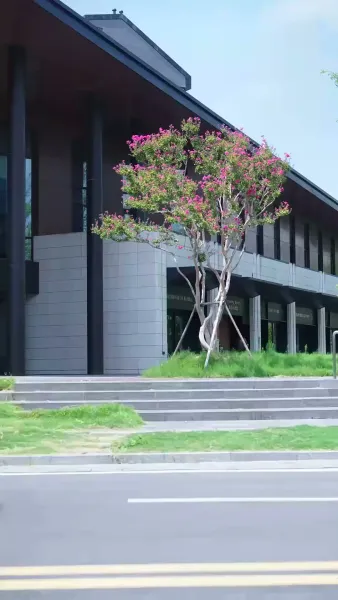 รักลวงกลางสคริปต์