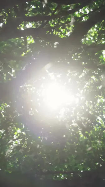 ในยามที่รักมาถึง