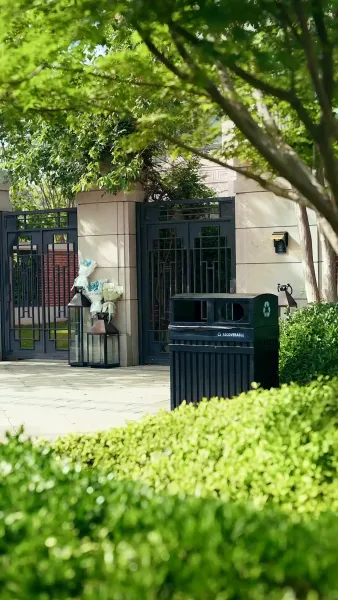 ฟื้นจากเถ้าถ่าน