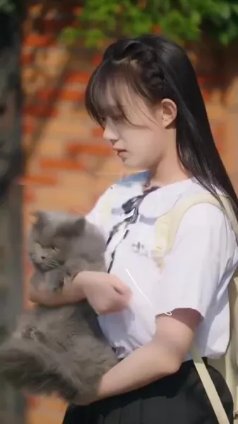 500 วันแห่งฤดูร้อน