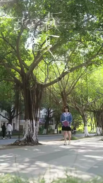 500 วันแห่งฤดูร้อน