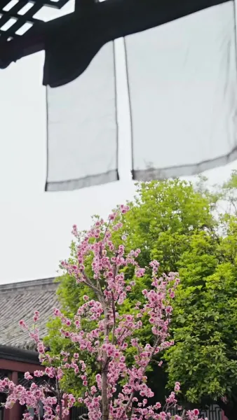 กุนซือหญิงพิชิตแผ่นดิน