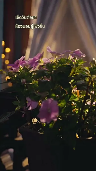 กุนซือหญิงพิชิตแผ่นดิน