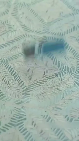 เล่ห์รักทดลองวิวาห์