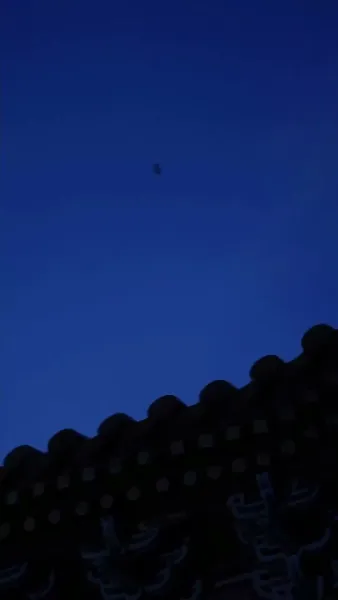 ย้อนเวลามายั่วรักท่านอ๋อง