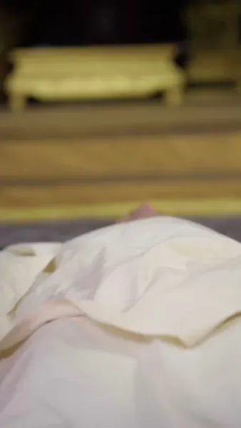 ย้อนเวลามายั่วรักท่านอ๋อง