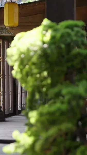 ย้อนเวลามายั่วรักท่านอ๋อง