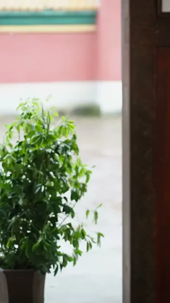 หมอหญิงพลิกชะตา