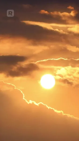 วิวาห์ลวงกลายเป็นรักจริง