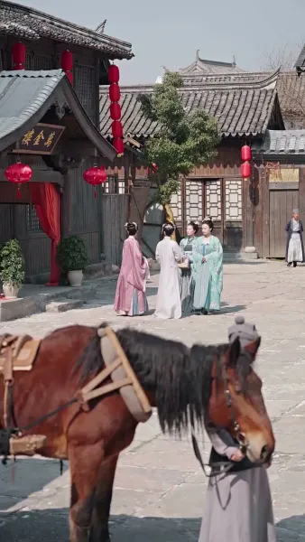 พี่สาวข้าคือแม่ทัพหญิง