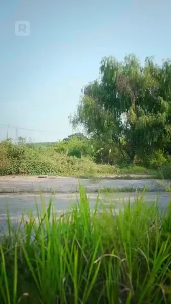 ฮาเดส : การกลับมาของราชาแห่งนรก