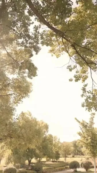 เกิดใหม่มาเป็นทายาทเศรษฐี