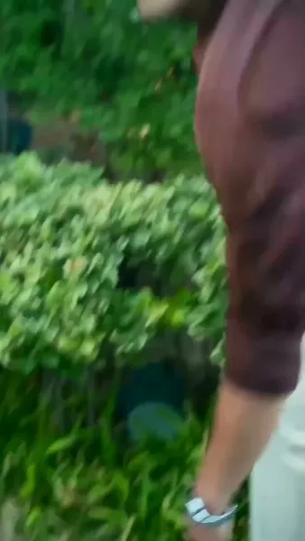 ม่านหมอก(พากย์ไทย)