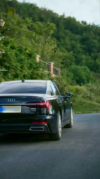 ม่านหมอก(พากย์ไทย)