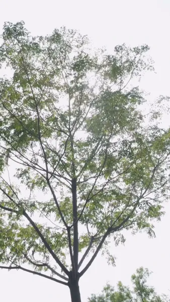 ความผิดที่อยู่ในใจ