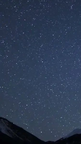 ผู้ถามที่เงียบงัน ลมใบไม้ผลิกับคำถามที่ไม่มีคำตอบ