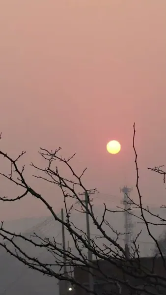 ผู้ถามที่เงียบงัน ลมใบไม้ผลิกับคำถามที่ไม่มีคำตอบ