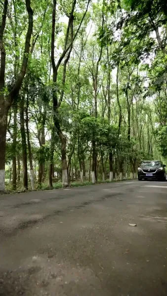 เธอทิ้งไว้แค่ความทรงจำ