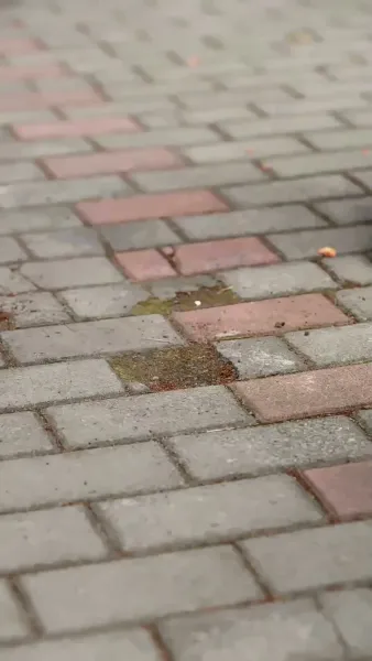 เธอทิ้งไว้แค่ความทรงจำ