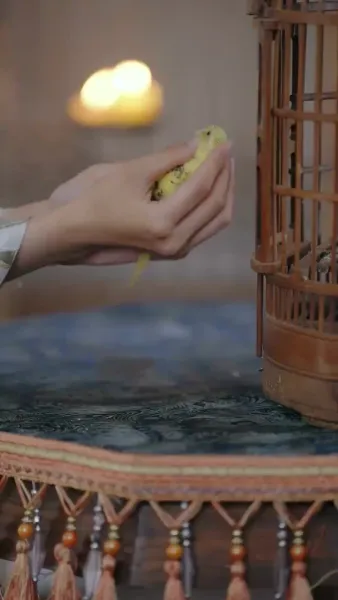 จันทราคะนึงรัก