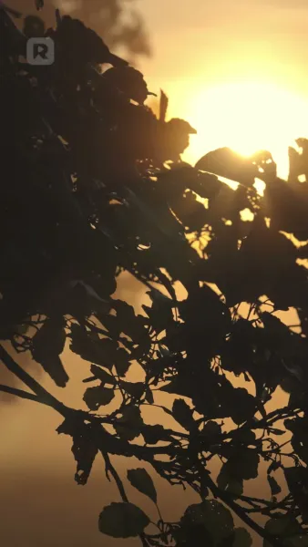 กับดักรักคุณเศรษฐี