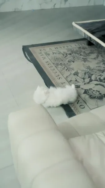 หลับเพื่อจบ ลืมเพื่อเริ่ม