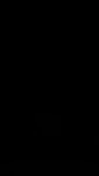 ยามดอกท้อโรยรา