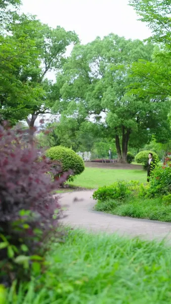 ระบบขั้นเทพ