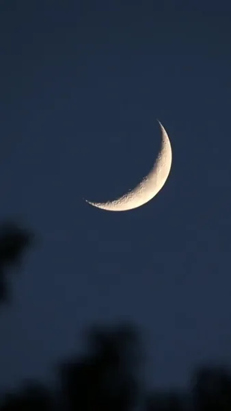 ระบบขั้นเทพ