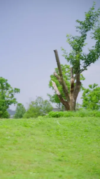 ระบบขั้นเทพ