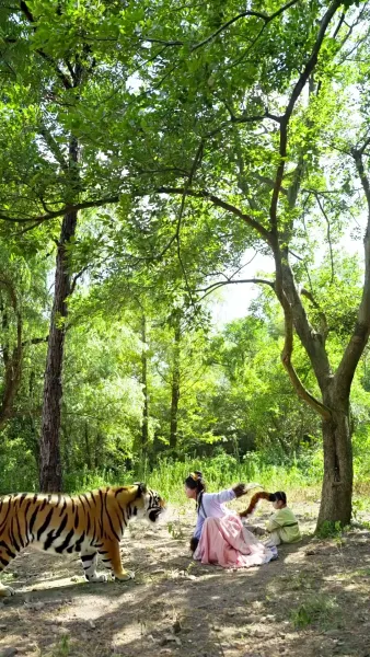 รักจากแม่เสือ