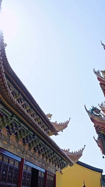 รักจากแม่เสือ