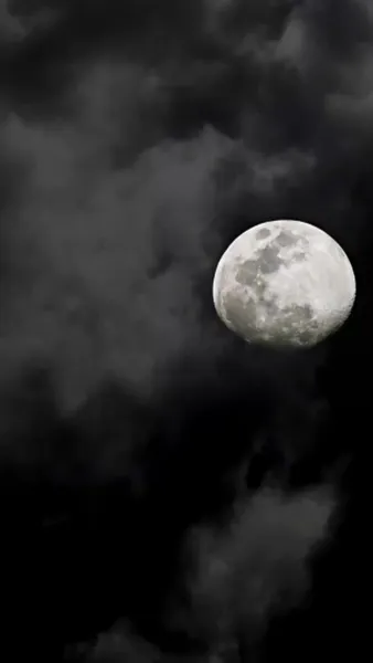 รักจากแม่เสือ