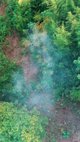 รักจากแม่เสือ